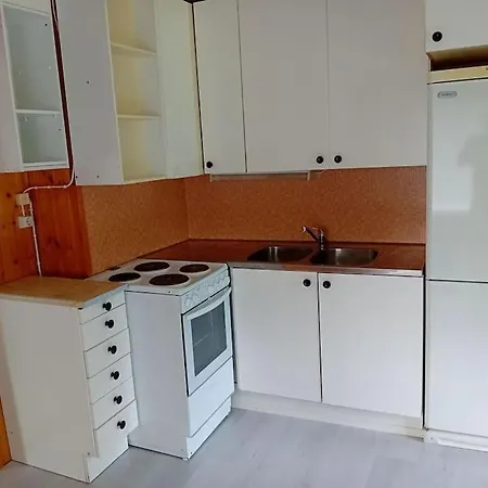 Apartment Tilava Yksioe Suurella Puutarhalla *
